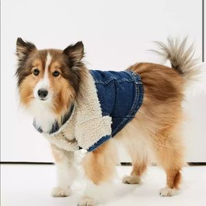 Dog Shearling Sweater! Brand New!